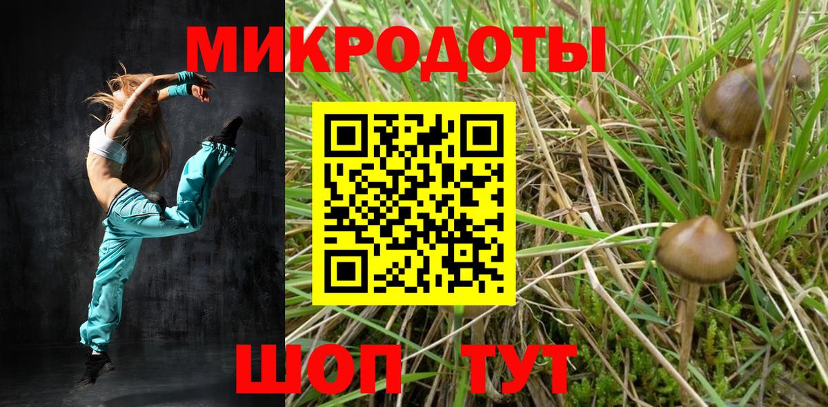 Екатеринбург  Галлюциногенные грибы мухоморы  Вход с VPN 