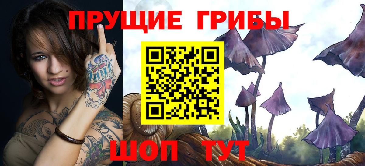 Псилоцибиновые грибы MAGIC MUSHROOMS Екатеринбург